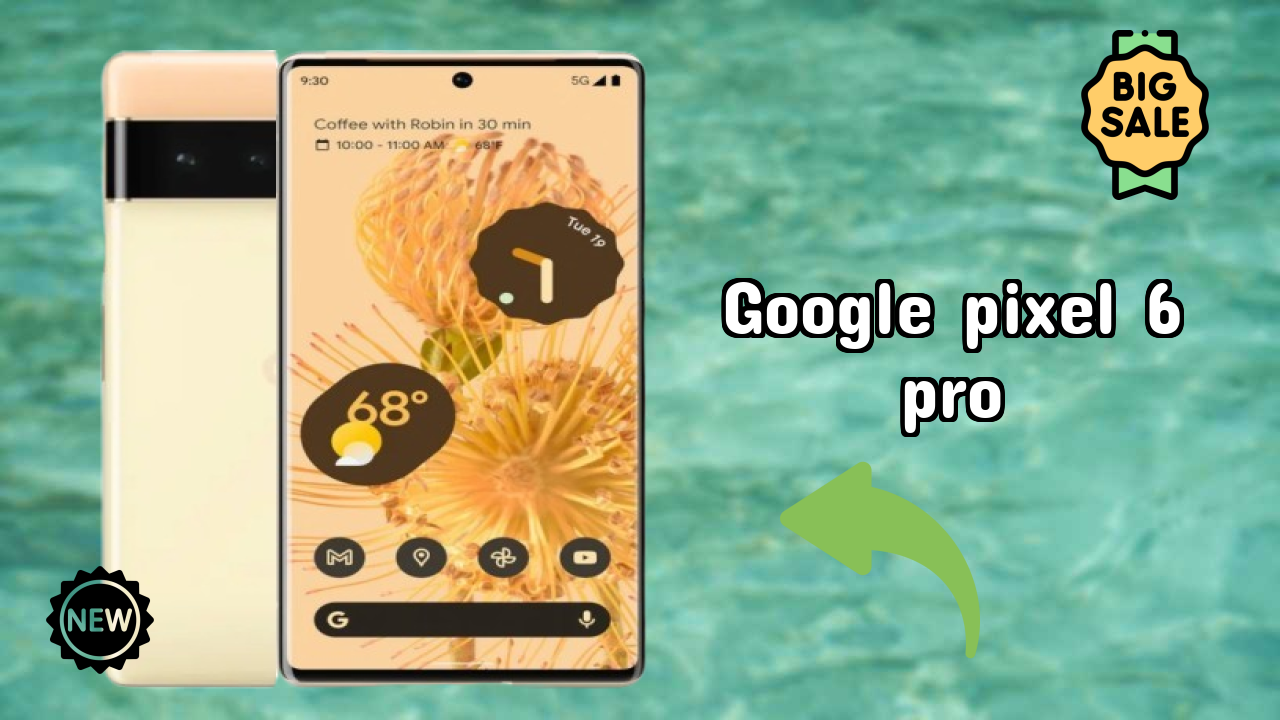 Google Pixel 6 Pro कैमरा टेस्ट: 50 MP + 12 MP + 48 MP Rear Camera सैंपल फोटो