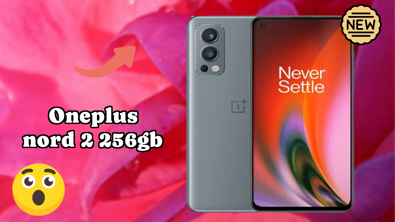 OnePlus Nord 2 256GB कैमरा सैंपल: 50 MP + 8 MP + 2 MP Rear Camera रियल टेस्ट